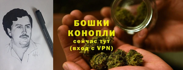 прущие крисы Абаза